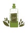 Hand drawn vector illustrations olive oil bottle