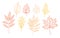 Hand drawn vector illustrations. Set of fall leaves. Forest desi