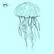 Hand drawn vector jellyfish. Sea marine animal collection. Modern line art. Dot work ocean tattoo collection.