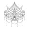 Hand drawn vector Lotus flower illustration, ornamental ethnic p