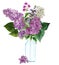 Hand drawn vector Lush lilac bouquet in glass bottle