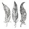 Hand drawn vector monochrome feathers sketch, doodle style