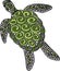 Hand drawn vector ornate turtle illustration