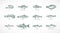 Hand Drawn Vector Sea and River Fish Species Illustrations Set. Collection of Salmons Pollock, Halibut, Sprat, Catfish