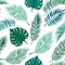 Hand drawn vector seamless pattern - Palm leaves. Tropical design elements. Summer background