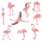 Hand drawn vector set of pink flamingo in different poses. Exotic bird with long legs and neck. Wildlife theme