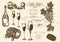 Hand drawn vector set wine and winemaking elements