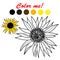 Hand drawn vector sunflower coloring book page