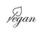 Hand drawn vegan word with leaf. Healthy life style. Black and white label.