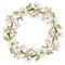 Hand drawn watercolor apple flowers, branches and leaves, white, pink and green blossom. Circle round wreath. Isolated