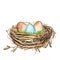 Hand drawn watercolor art bird nest with eggs , easter design. illustration on white background.