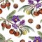 Hand drawn watercolor Australian spice plant Solanum centrale seamless pattern isolated on white.