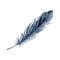 Hand drawn watercolor bird feather plume quill boho tribal ethnic indian blue black. Single object isolated on white