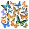 Hand drawn watercolor of bright colorful realistic butterflies.