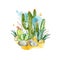 Hand drawn watercolor cactuses in desert. Watercolor with cactus garden. Illustration for greeting cards, invitations on