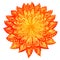 Hand drawn watercolor doodle orange flower. Indian