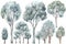 Hand-Drawn Watercolor Eucalyptus Trees Collection for Forest Scenes .