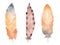 Hand drawn watercolor feather set on white background. Boho style graphics.