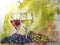 Hand drawn watercolor food illustration with wine and grapes