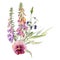 Hand drawn watercolor illustration botanical flowers leaves. Foxglove snapdragon lupin, mauve pansy viola, willow