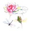 Hand-drawn watercolor illustration of the dragonfly with lotus pink flower, bud and leaves