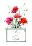 Hand drawn watercolor illustration. Four red poppies flowers bouquet and label with text.