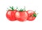 Hand drawn watercolor illustration of fresh three red ripe tomatoes. Isolated on the white background