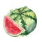 Hand-drawn watercolor illustration of fresh watermelon isolated on the white background.