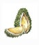 Hand drawn watercolor illustration of fruit durian
