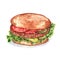 Hand-drawn watercolor illustration of tasty fresh hamburger