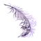 Hand drawn watercolor Mardi Gras carnival symbols. Bird feather quill plumage, violet purple lilac. Single object