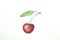 Hand Drawn Watercolor Painting of Ripe Juicy Single Sweet Cherry with Stem Green Leaf in Doodle Kids Style. White Paper Background