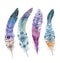 Hand drawn watercolor paintings vibrant feather set. Boho style