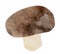 Hand-drawn watercolor papercut brown champignon mushroom. Bright cute kawaii kidcore style illustration, good for