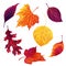 Hand drawn watercolor pattern with autumn leaves isolated on white background