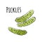 Hand drawn watercolor pickles icon