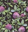 Hand-drawn watercolor seamless floral pattern with the pink clovers flowers. Clover pattern.