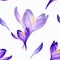 Hand drawn watercolor seamless floral pattern with purple violet lilac crocus saffron flowers 3001