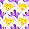Hand drawn watercolor seamless floral pattern with yellow orange ochre violet purple crocus saffron flowers 3022