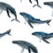 Hand drawn watercolor seamless pattern with blue whale. Sea ocean marine animal, nautical underwater endangered mammal