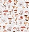 Hand-drawn watercolor seamless pattern of the different mushrooms