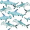 Hand drawn watercolor seamless pattern with hammerhead shark. Sea ocean marine animal, nautical underwater endangered