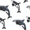 Hand drawn watercolor seamless pattern with orca killer whale. Sea ocean marine animal, nautical underwater endangered