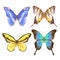 Hand drawn watercolor set of bright colorful realistic butterflies.