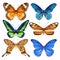 Hand drawn watercolor set of bright colorful realistic butterflies.