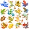 Hand drawn watercolor set of colorful tropical frogs isolated on white. Stock illustration of beautiful wild creatures