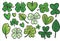 Hand drawn watercolor shamrock four leaf clover collection