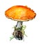 Hand drawn watercolor of single orange mushroom.
