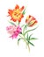 Hand drawn watercolor Sunny Tulips and Peony flowers. Romantic background for web pages, wedding invitations, wallpaper