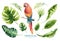 Hand drawn watercolor tropical plants set and parrot. Exotic pa